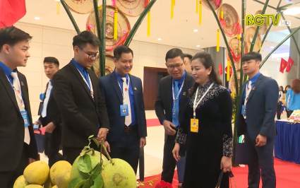 Ấn tượng gian hàng thanh niên khởi nghiệp cụm Trung du Bắc Bộ