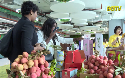 Ấn tượng Vải thiều Bắc Giang tại diễn đàn "Vải thiều vươn ra Thế giới"