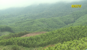 Tạp chí NNNT: Công tác bảo vệ và phát triển rừng