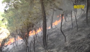 Yên Dũng: kịp thời dập tắt một vụ cháy rừng