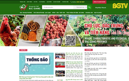 Bắc Giang - Chuyển đổi số: Chuyển đổi số trong tiêu thụ cam bưởi