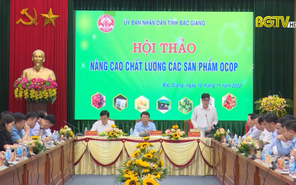 Bắc Giang nâng cao hiệu quả chương trình mỗi xã một sản phẩm OCOP