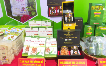 Bắc Giang phấn đấu xây dựng thành công sản phẩm OCOP du lịch và OCOP 5 sao