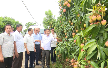 Bắc Giang phát triển vùng cây ăn quả gắn với chế biến xuất khẩu