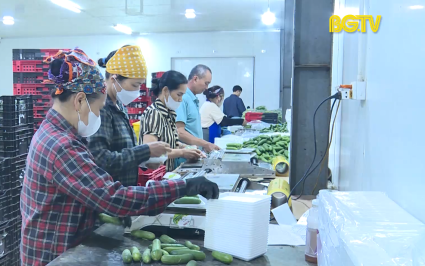 Bắc Giang thu hút doanh nghiệp đầu tư lĩnh vực nông nghiệp