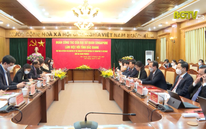 Bắc Giang thúc đẩy quan hệ hợp tác với Singapore