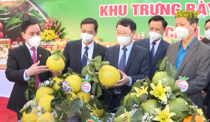 Bắc Giang thúc đẩy tiêu thụ cam bưởi, nông sản đặc trưng