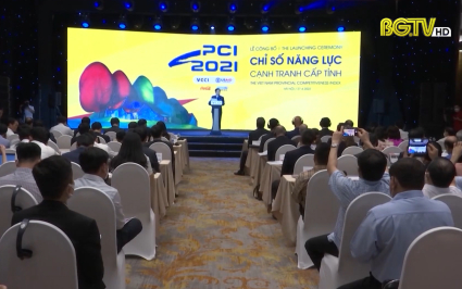 Bắc Giang xếp vị trí 31 bảng xếp hạng PCI