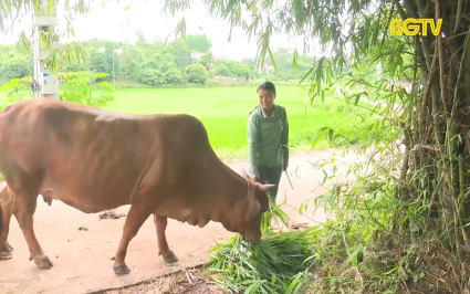Bám sát lộ trình, hoàn thành chỉ tiêu giảm nghèo 