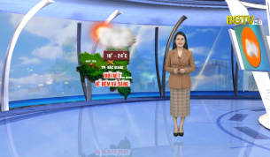 Bản tin thời tiết ngày 12 - 11 - 2021