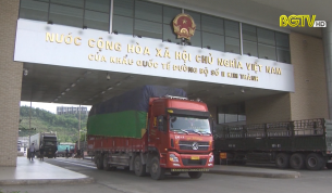 Bắt đầu xuất khẩu vải tươi Việt Nam sang thị trường Trung Quốc