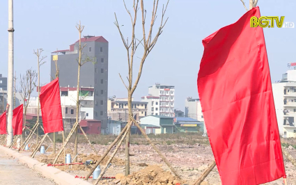 BQL các Khu Công nghiệp phát động Tết trồng cây