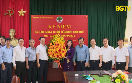 Các đồng chí lãnh đạo tỉnh thăm, chúc mừng Hội Người cao tuổi tỉnh