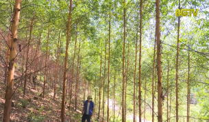 Chậm bàn giao rừng Khu du lịch sinh thái Suối Mỡ