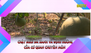 Chặt bưởi da xanh và định hướng của cơ quan chuyên môn