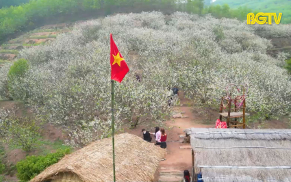 Checkin Bắc Giang: "Thiên đường tuyết trắng" tại Lục Ngạn