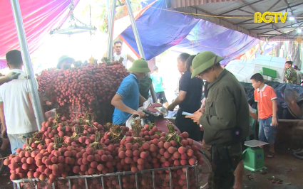 Chống gian lận thương mại trong vụ vải thiều