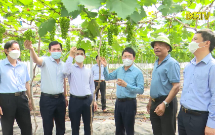 Chủ động nguồn giống, đẩy mạnh áp dụng KHCN, nâng tầm sản xuất nông nghiệp