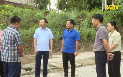 Chủ tịch UBND tỉnh kiểm tra công tác ứng phó sau bão tại Yên Thế