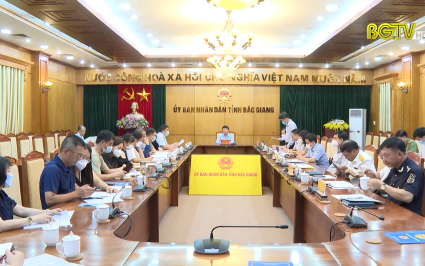 Chủ tịch UBND tỉnh làm việc với các doanh nghiệp sản xuất pin năng lượng mặt trời