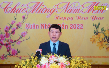 Chủ tịch UBND tỉnh Lê Ánh Dương phát biểu chúc Tết