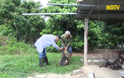 Chung tay phá vỡ rào cản - phòng chống bệnh dại