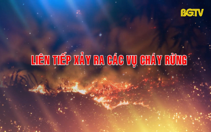 Bắc Giang liên tiếp xảy ra các vụ cháy rừng