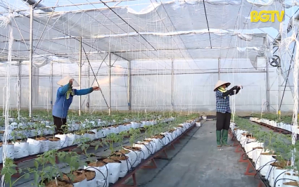 Chuyển đổi số nâng cao hiệu quả sản xuất nông nghiệp 