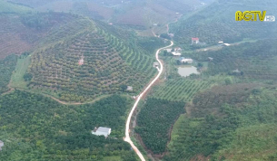 Chuyển hướng phát triển bền vững cây ăn quả
