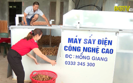 Công nghệ sấy Vải bằng điện