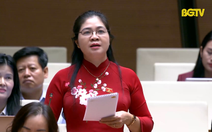 Đại biểu Quốc hội tỉnh Bắc Giang tranh luận tại kỳ họp thứ 8 