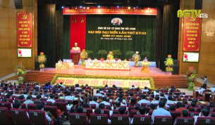 Đại hội Đại biểu Đảng bộ CCQ tỉnh lần thứ XVIII, nhiệm kỳ 2020 - 2025