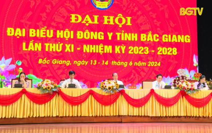Đại hội đại biểu Hội Đông y Bắc Giang lần thứ XI