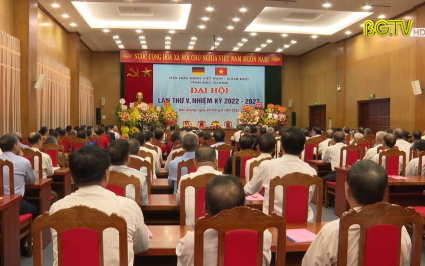 Đại hội Hội hữu nghị Việt Nam - CHLB Đức tỉnh Bắc Giang lần thứ V