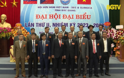 Đại hội Đại biểu Hội Hữu nghị Việt Nam - Séc và Slovakia lần thứ II  