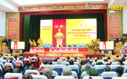 Đổi mới, hướng về cơ sở, hướng về nạn nhân Da cam/Dioxin 
