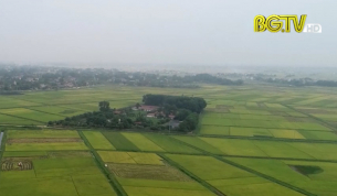 Đảm bảo an ninh lương thực trong xu thế đất sản xuất giảm dần