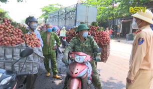 Đảm bảo an toàn giao thông phục vụ mùa vải thiều