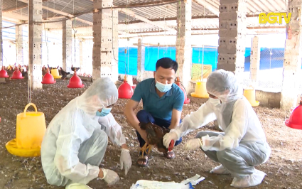 Đảm bảo điều kiện duy trì vùng an toàn dịch bệnh 