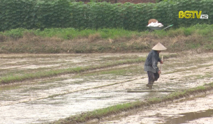 Đảm bảo điều kiện sản xuất vụ chiêm xuân