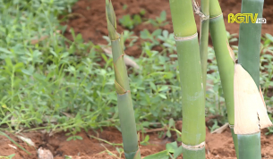 Đảm bảo mục tiêu, chất lượng sản phẩm OCOP năm 2021