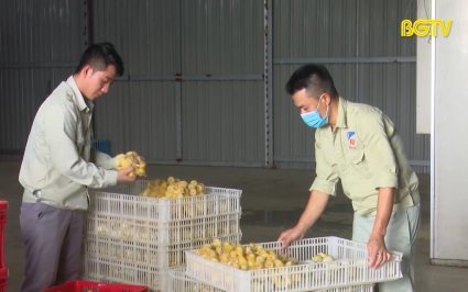 Đảm bảo tốc độ tăng trưởng lĩnh vực nông nghiệp