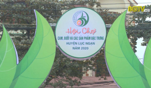 Đảm bảo tốt an ninh trật tự Hội chợ Cam, Bưởi