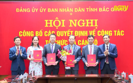 Đảng ủy UBND tỉnh công bố quyết định về công tác tổ chức cán bộ 