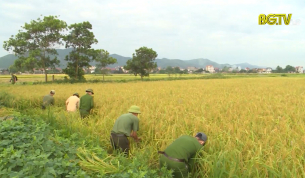 Đảng viên công an trẻ rèn luyện, trưởng thành trong đại dịch