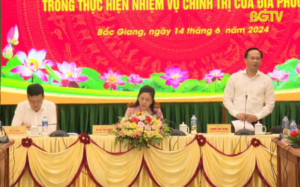 Đánh giá kết quả thực hiện kế hoạch, đề án do BTV Tỉnh ủy giao 