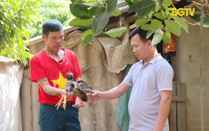 Đào tạo nghề gắn với giải quyết việc làm cho người lao động