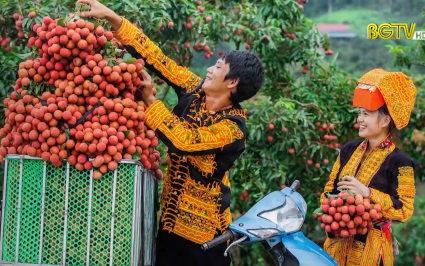 "Dấu ấn, tiềm năng về vùng đất, con người Bắc Giang" qua ống kính của các nghệ sĩ nhiếp ảnh