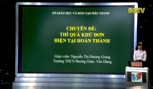 Dạy học trên truyền hình - Tiếng Anh lớp 9: Thì quá khứ đơn, hiện tại hoàn thành