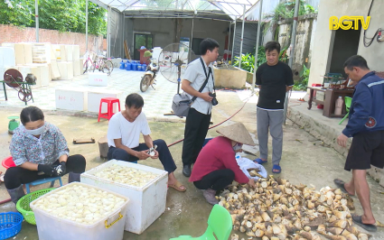 Đẩy mạnh các hoạt động hỗ trợ hợp tác xã